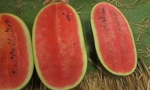 热门大瓜每日必吃大瓜 网红大瓜搜索,热门事件盘点，揭秘娱乐圈幕后真相